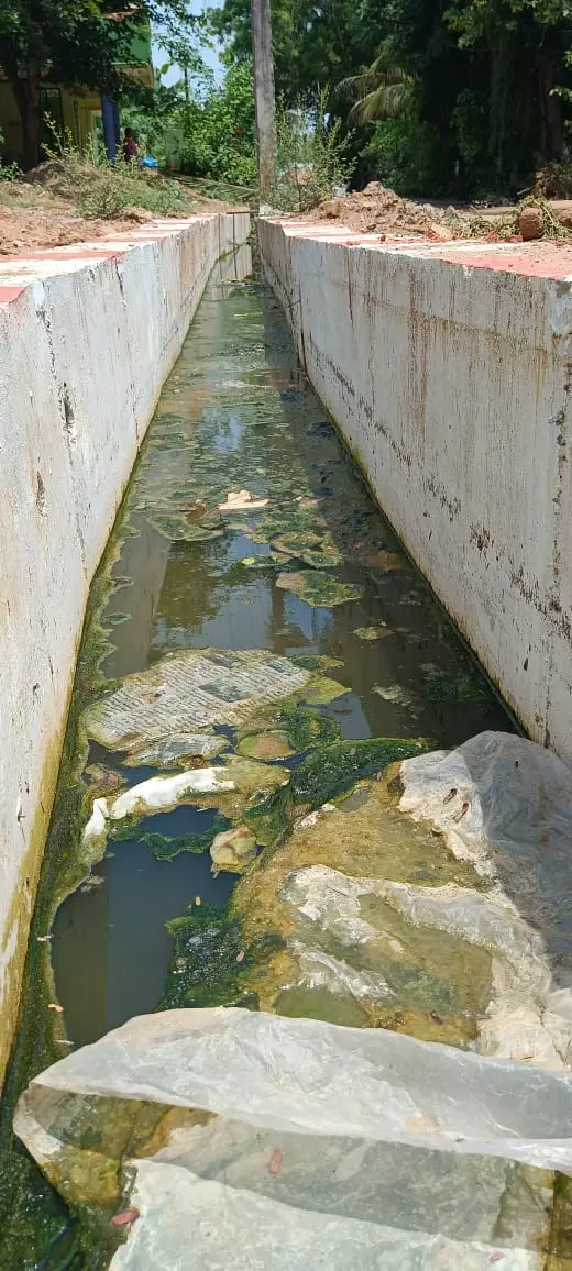 கழிவுநீர் வடிகாலால் பொதுமக்கள் அவதி கழிவுநீர் வடிகாலால் பொதுமக்கள் அவதி