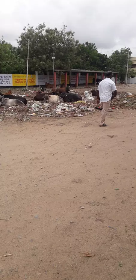 சுகாதார கேடு