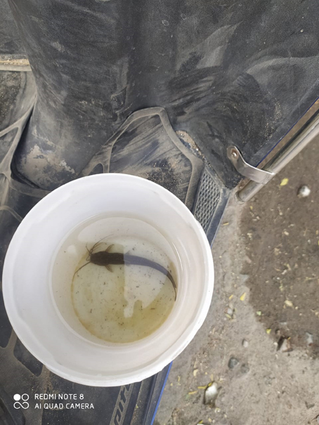 சுத்திகரிக்கப்படாத குடிநீர்