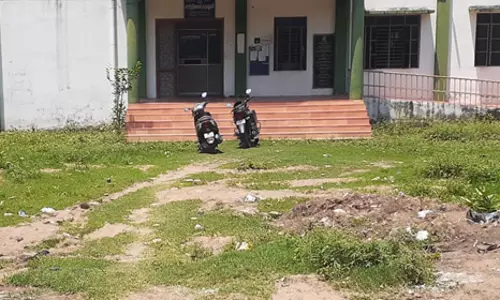 புல், பூண்டுகளை அகற்ற வேண்டும் புல், பூண்டுகளை அகற்ற வேண்டும்