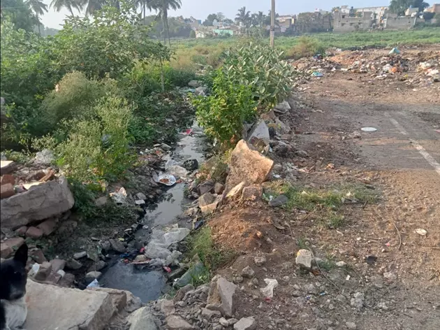 கால்வாயை தூர்வார வேண்டும்