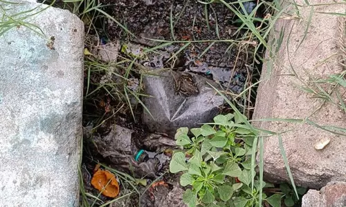 கால்வாயை தூர்வார வேண்டும் கால்வாயை தூர்வார வேண்டும்