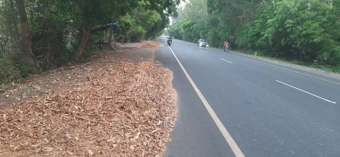 சாலையோரம் குவிந்துள்ள மரக்குப்பைகள் சாலையோரம் குவிந்துள்ள மரக்குப்பைகள்