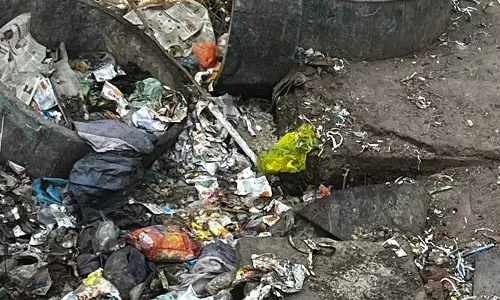 குப்பைகளால் சுகாதார சீர்கேடு