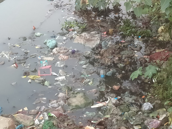 சுகாதாரக்கேடு சுகாதாரக்கேடு