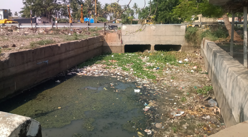 தேங்கி நிற்கும் கழிவுகளால் துர்நாற்றம் தேங்கி நிற்கும் கழிவுகளால் துர்நாற்றம்