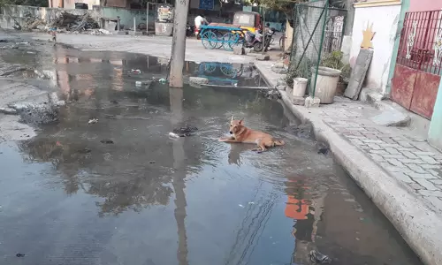 கால்வாயை தூர்வார வேண்டும் கால்வாயை தூர்வார வேண்டும்