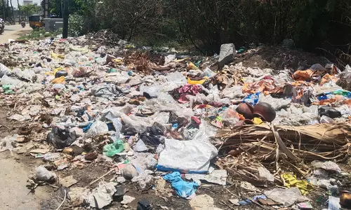 குவிந்து கிடக்கும் குப்பைகள் குவிந்து கிடக்கும் குப்பைகள்