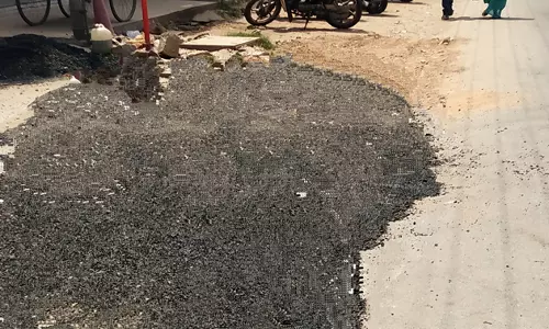 தினத்தந்திக்கு பாராட்டு தினத்தந்திக்கு பாராட்டு