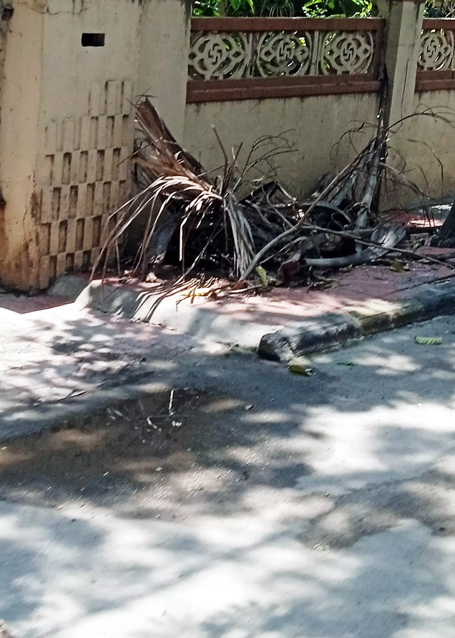 நடைபாதையில் கிடக்கும் மரக்கிளைகள்