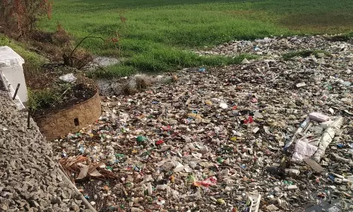 சுகாதார சீர்கேடு