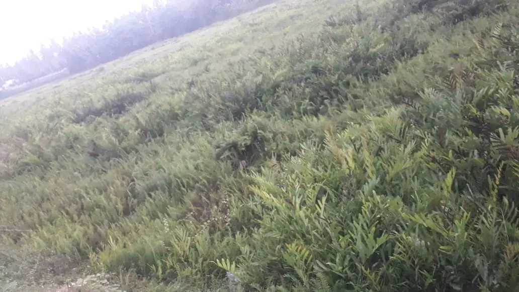 தூர்வார வேண்டும்