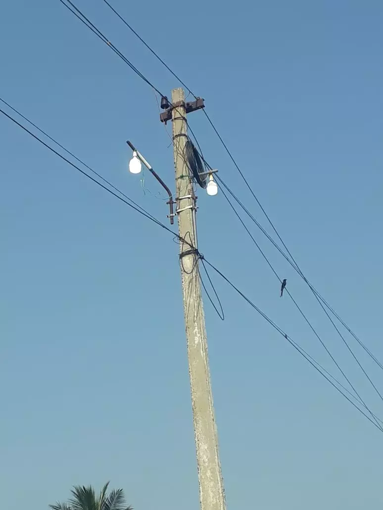 பகலில் எரியும் தெருமின்விளக்கு