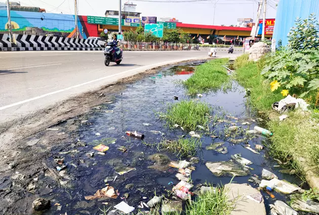 சாலையோரம் தேங்கும் கழிவுநீர் சாலையோரம் தேங்கும் கழிவுநீர்
