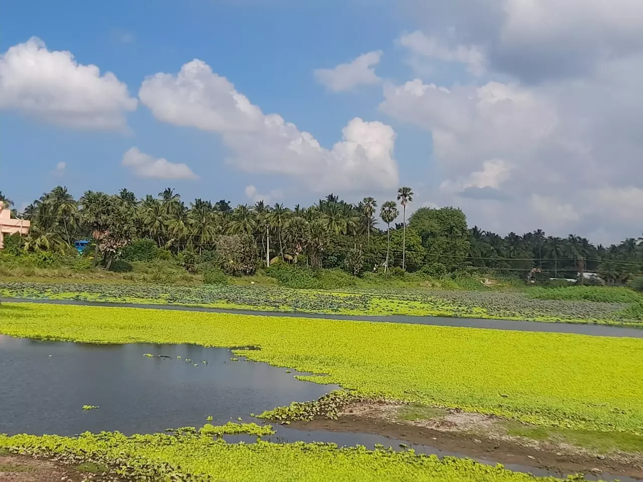 தூர்வார வேண்டும்