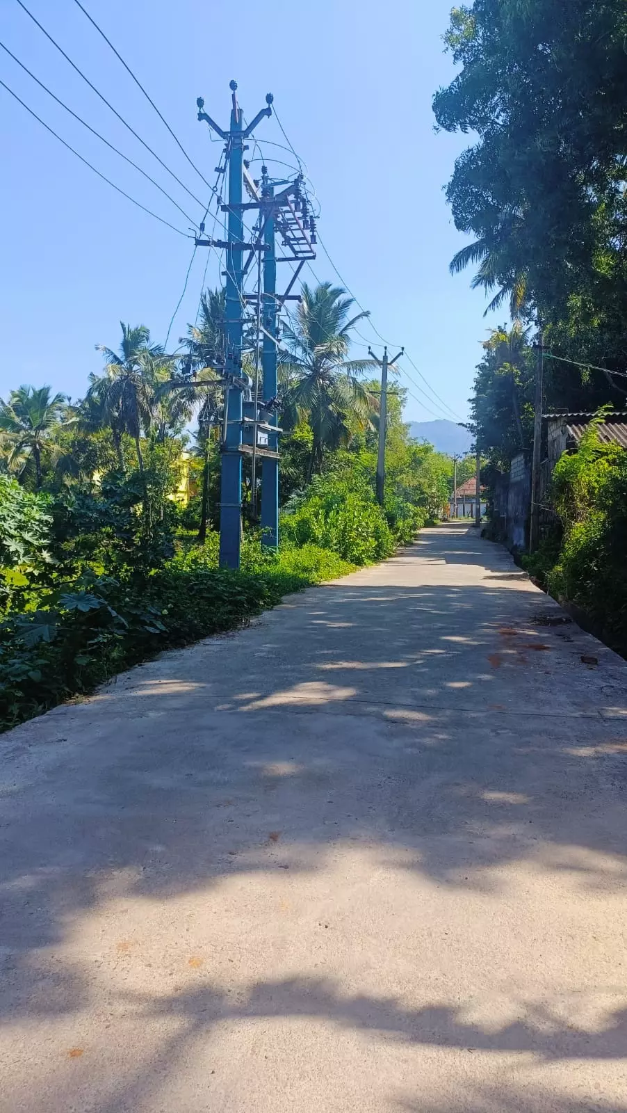 மின்விளக்கு தேவை