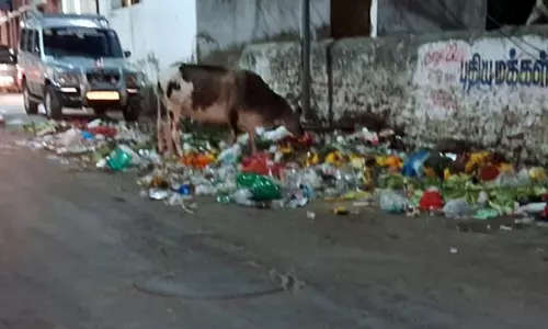 குப்பை கூளங்களால் சுகாதாரக்கேடு