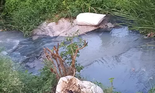 கழிவுகளை அகற்ற வேண்டும் கழிவுகளை அகற்ற வேண்டும்