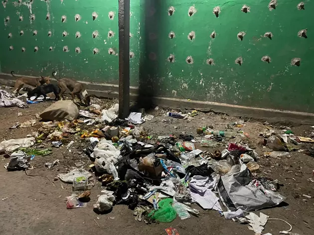 குப்பைகளை அகற்ற வேண்டும் குப்பைகளை அகற்ற வேண்டும்