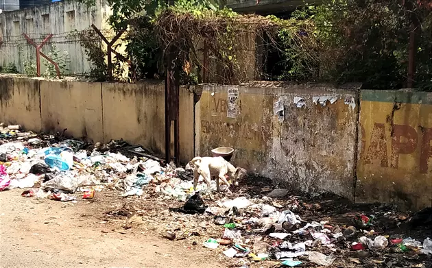 குப்பைகளை அகற்றுவார்களா?