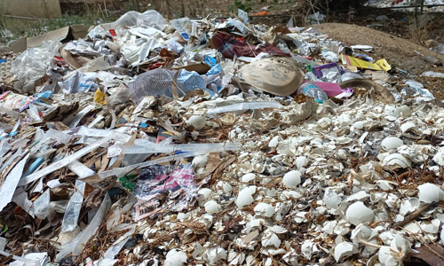 பள்ளியில் குவிந்த குப்பைகள்