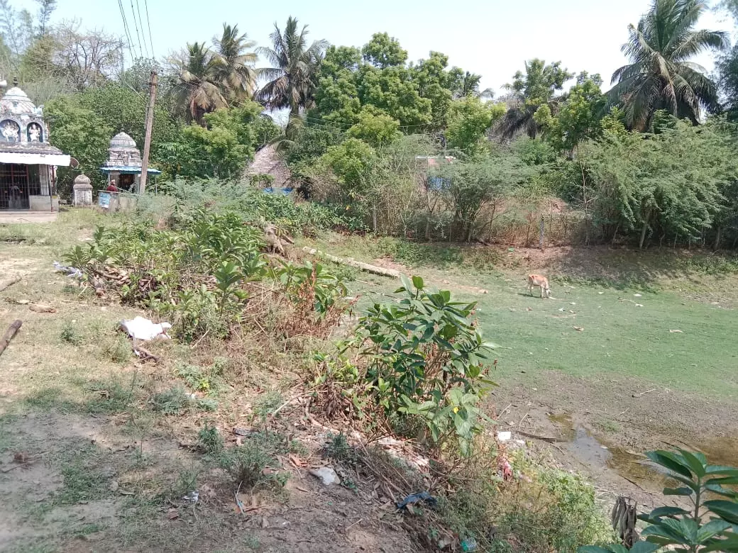 குளம் தூர்வாரப்படுமா? குளம் தூர்வாரப்படுமா?