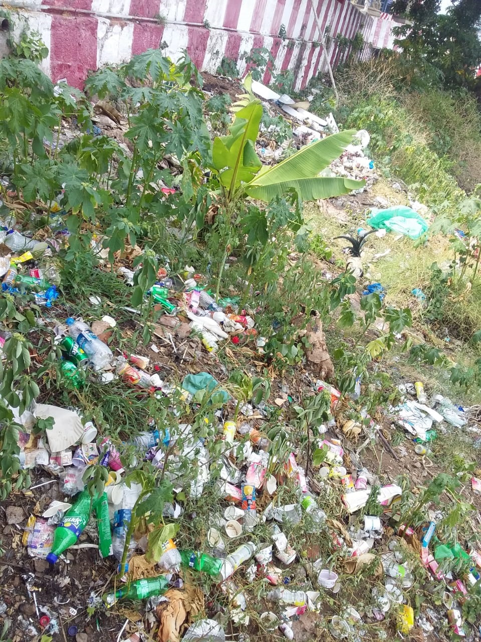 சுகாதாரக்கேடு சுகாதாரக்கேடு