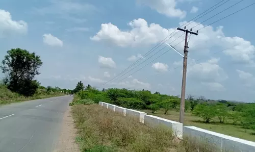 பகலில் எரியும் மின் விளக்கு பகலில் எரியும் மின் விளக்கு