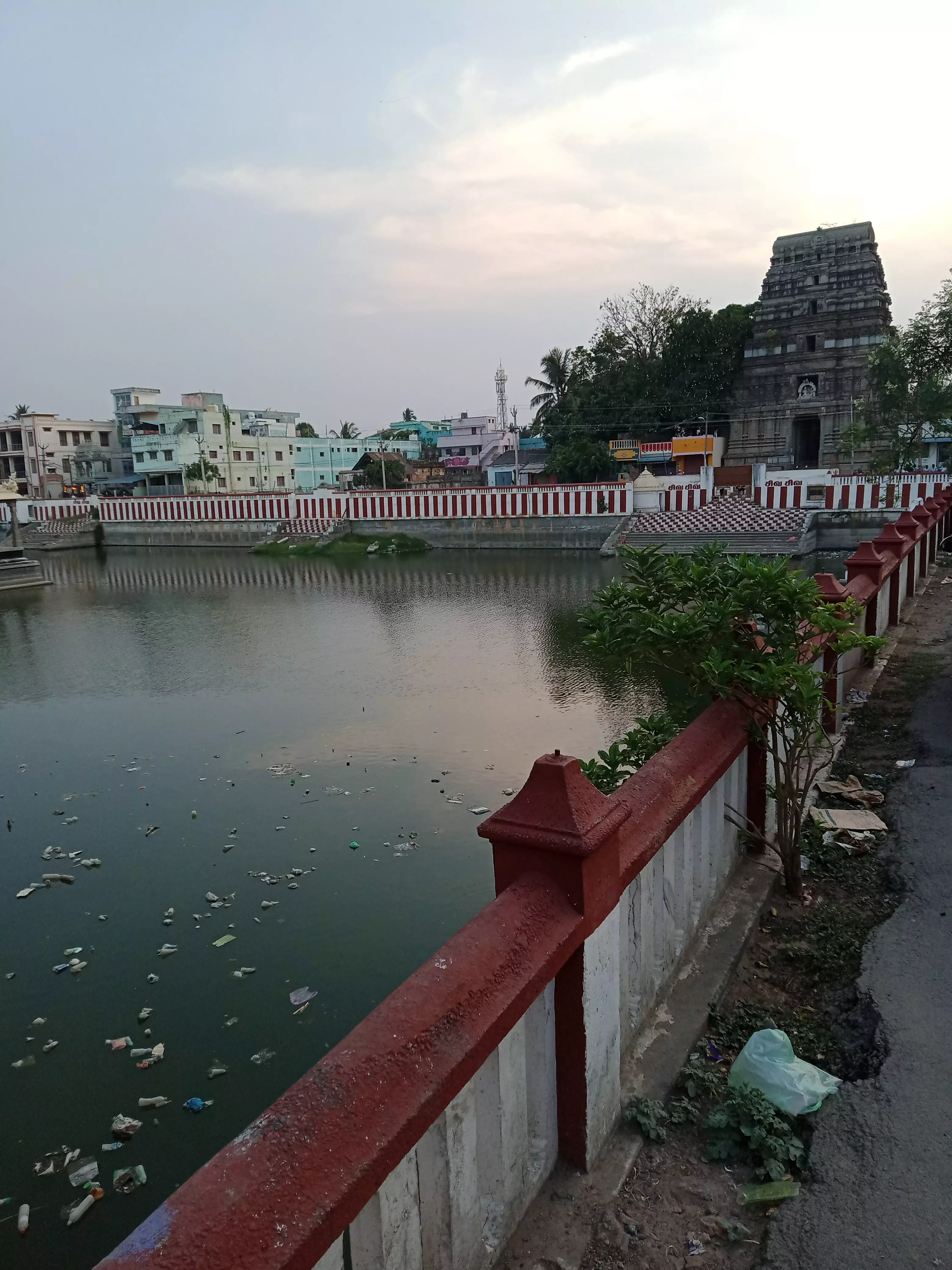 பராமரிப்பில்லாத குளம் பராமரிப்பில்லாத குளம்