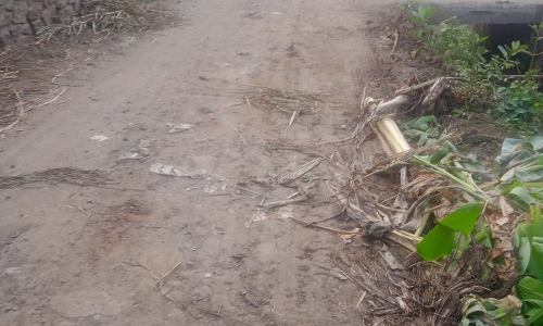 சாலையை சீரமைக்க வேண்டும்