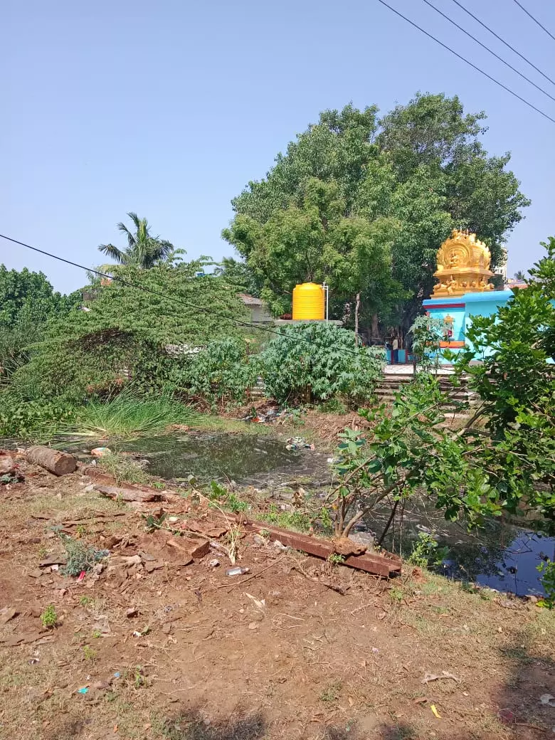 குளம் தூர்வாரப்படுமா?