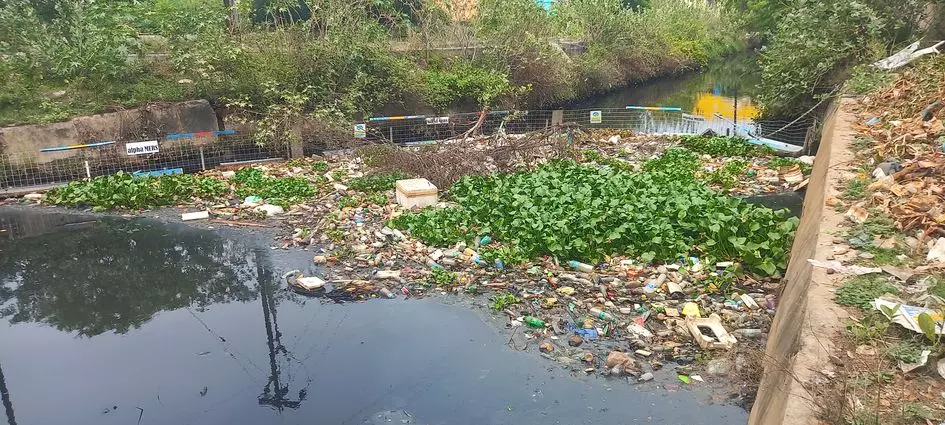 குப்பை அகற்றப்படுமா? குப்பை அகற்றப்படுமா?