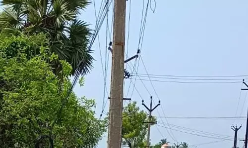 மின்கம்பங்கள் அகற்றப்படுமா?