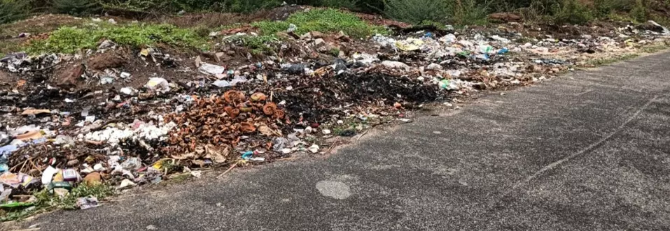 நோய் பரவும் அபாயம்