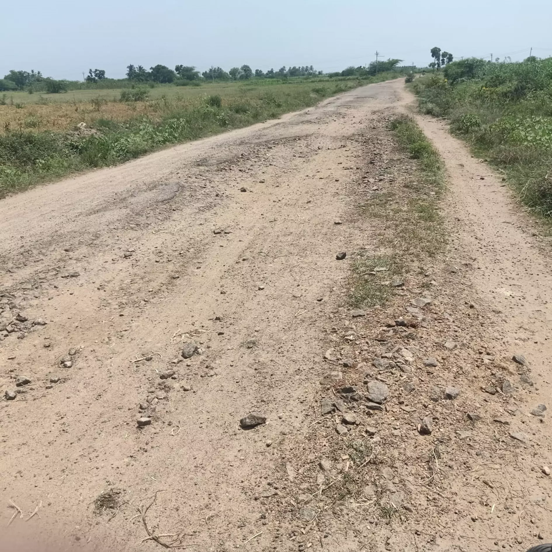 குண்டும் குழியுமான சாலை