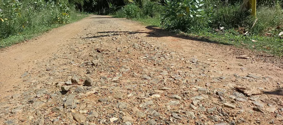 தார் சாலை வேண்டும்