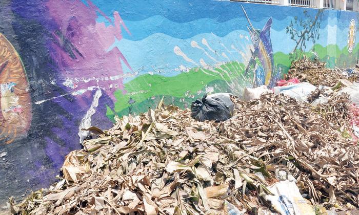 அழகுக்கு கேடு தரும் குப்பை