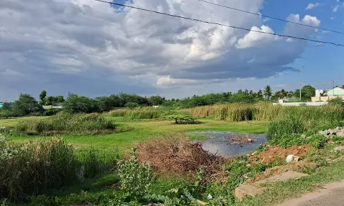 மாசடைந்த குளம்