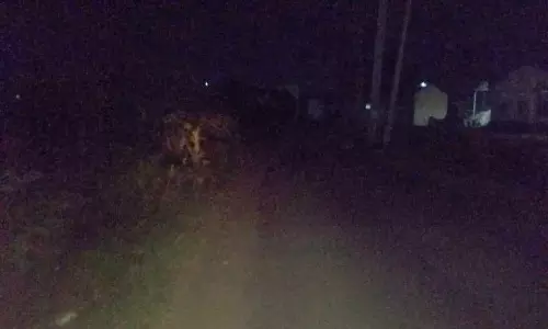 மின்விளக்குகள் அமைக்கப்படுமா?