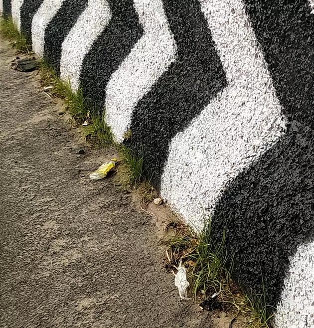 மேம்பாலத்தில் குப்பைகள் அகற்றப்படுமா?