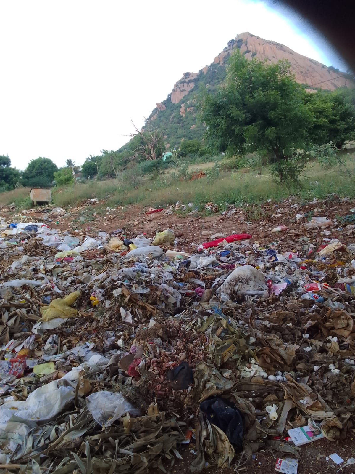 குப்பைகளால் சுகாதார சீர்கேடு