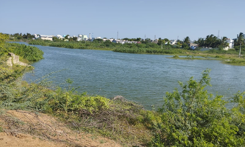 குளத்தில் கலக்கும் கழிவுநீர்