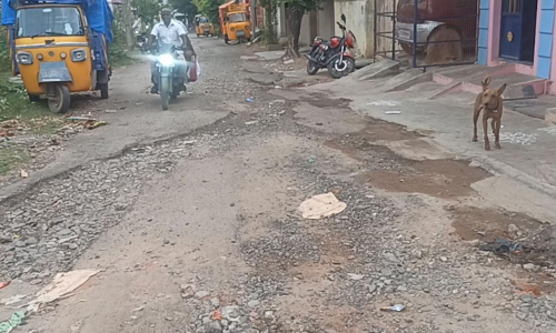 குண்டும், குழியுமான சாலை