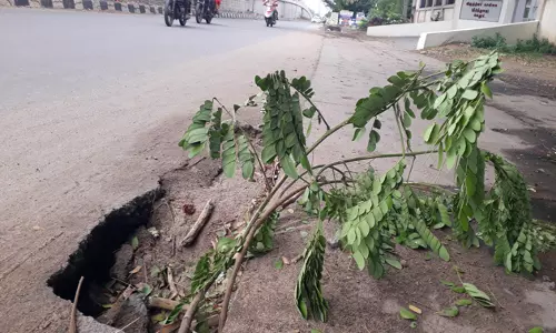 சாலையோர பள்ளம் சரி செய்யப்படுமா? சாலையோர பள்ளம் சரி செய்யப்படுமா?