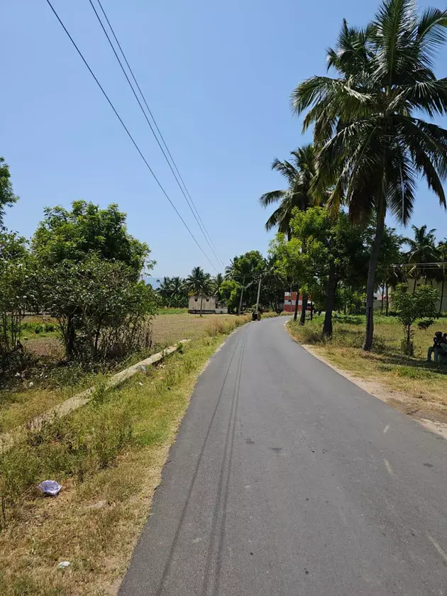 தாழ்வாக செல்லும் மின்கம்பிகளால் ஆபத்து