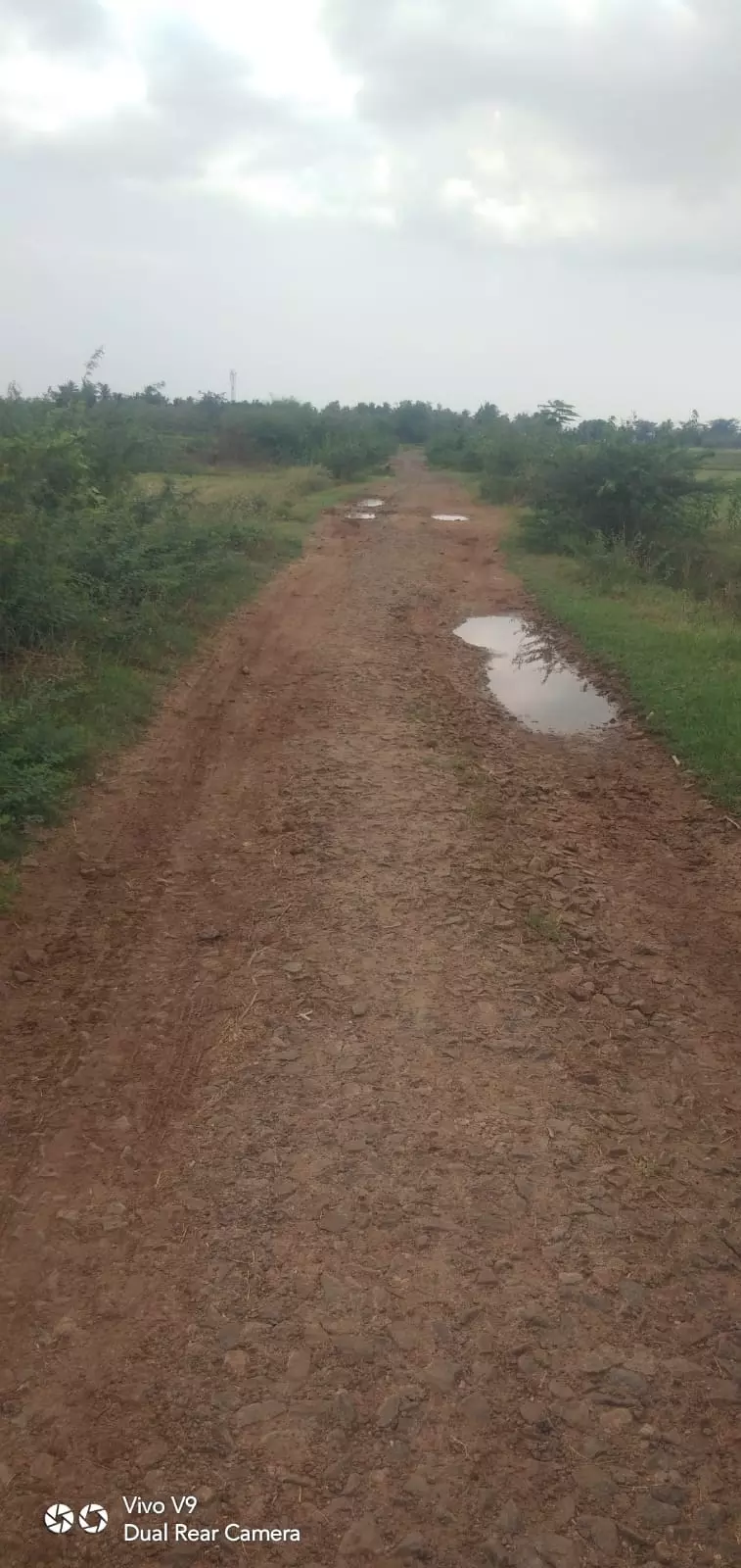 நம்புங்க... இதுவும் சாலைதான்...