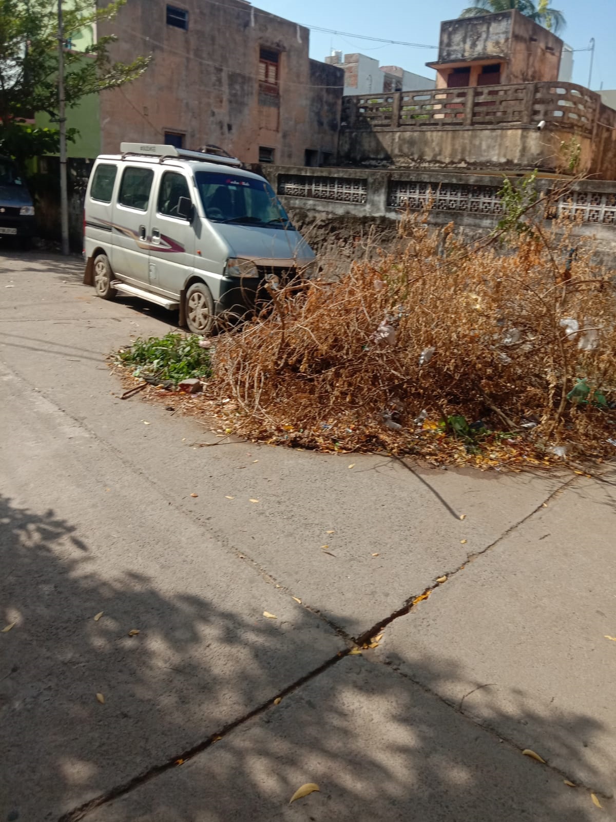 சாலையில் குவிந்து கிடக்கும் மரக்கிளைகள்