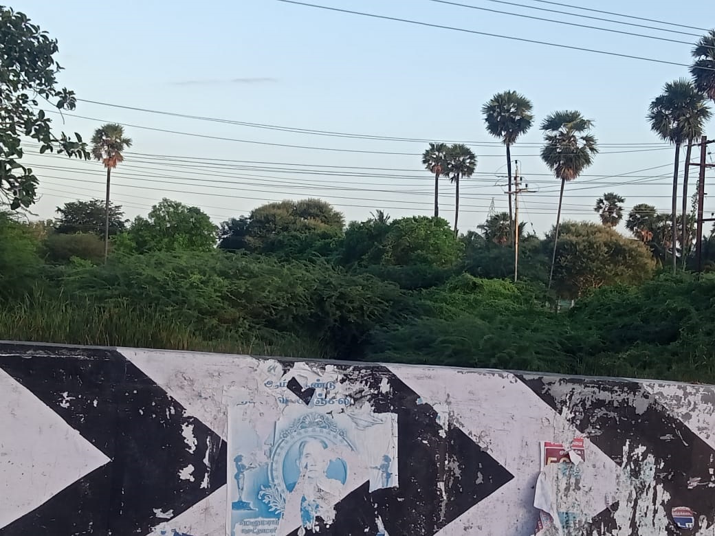 வரட்டாறு தூர்வாரப்படுமா?