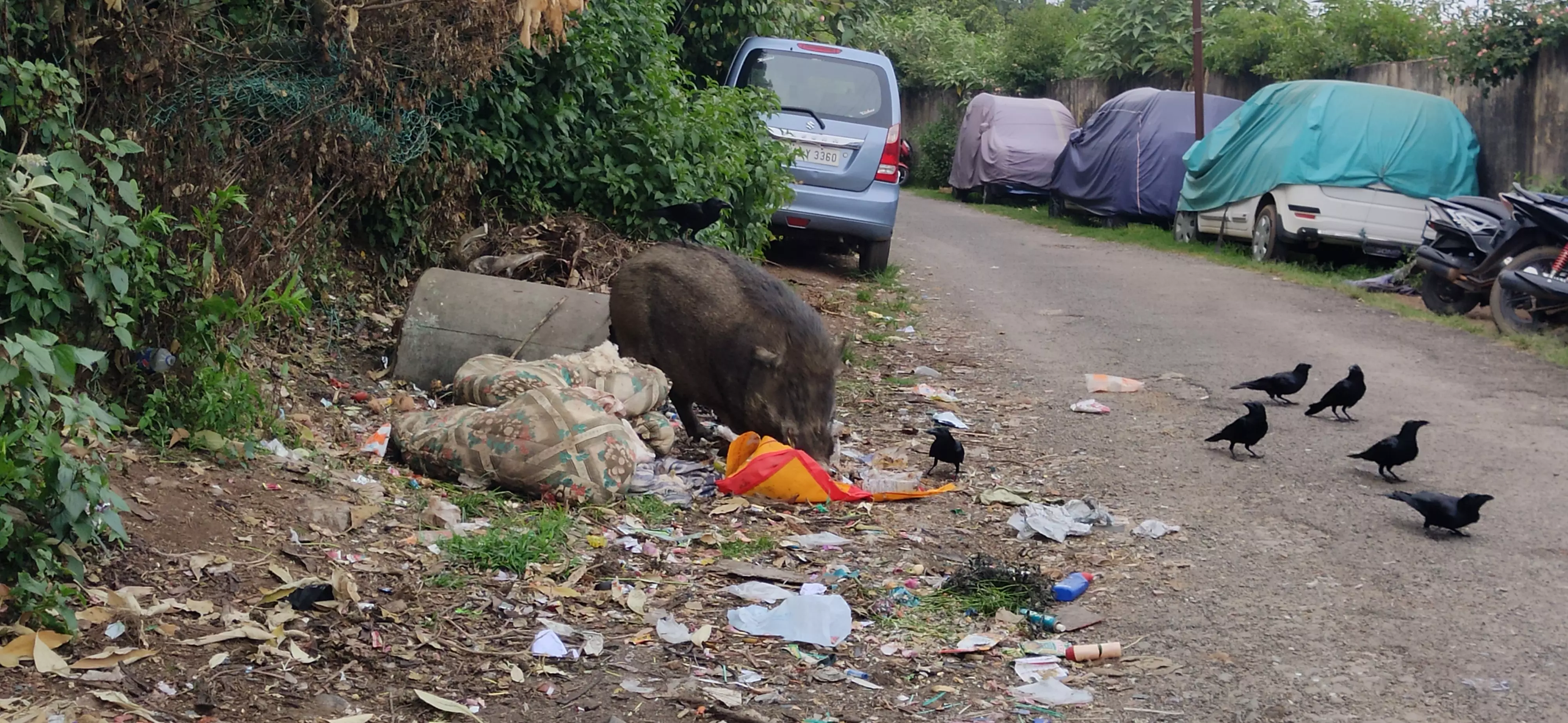 சுகாதார சீர்கேடு