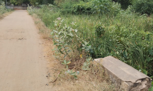 பாலத்தின் தடுப்புச்சுவர் சேதம் பாலத்தின் தடுப்புச்சுவர் சேதம்